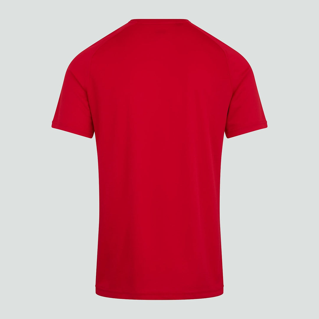 Canterbury Team Dry T-shirt Senior Rouge