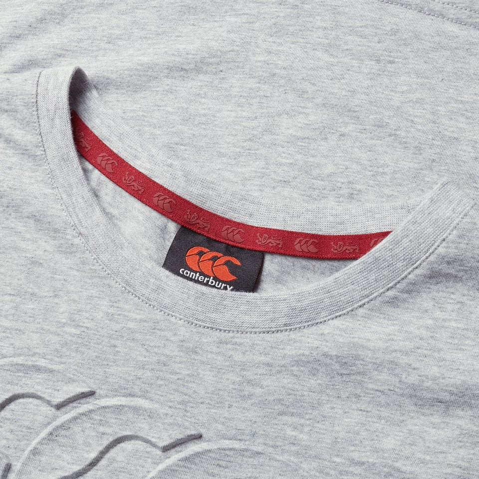 Canterbury British & Irish Lions Monument T-Shirt Kids