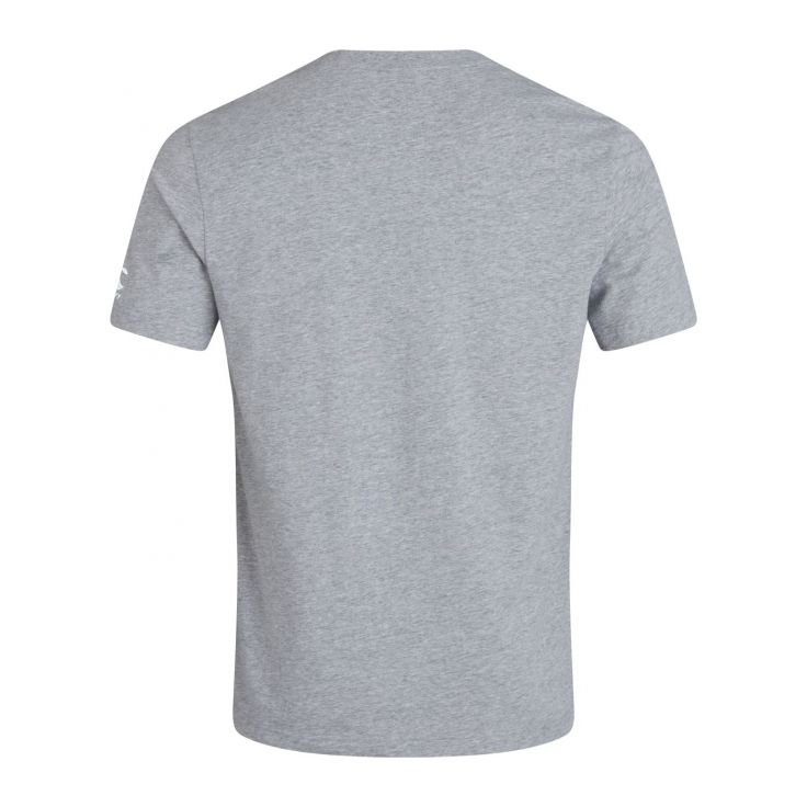 T-shirt Canterbury Irlande pour homme, gris