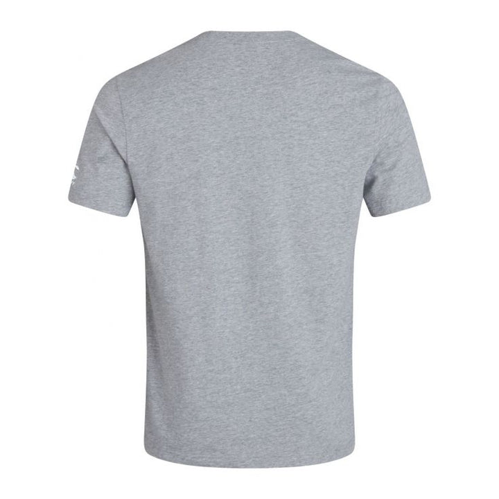 T-shirt Canterbury Irlande pour homme, gris