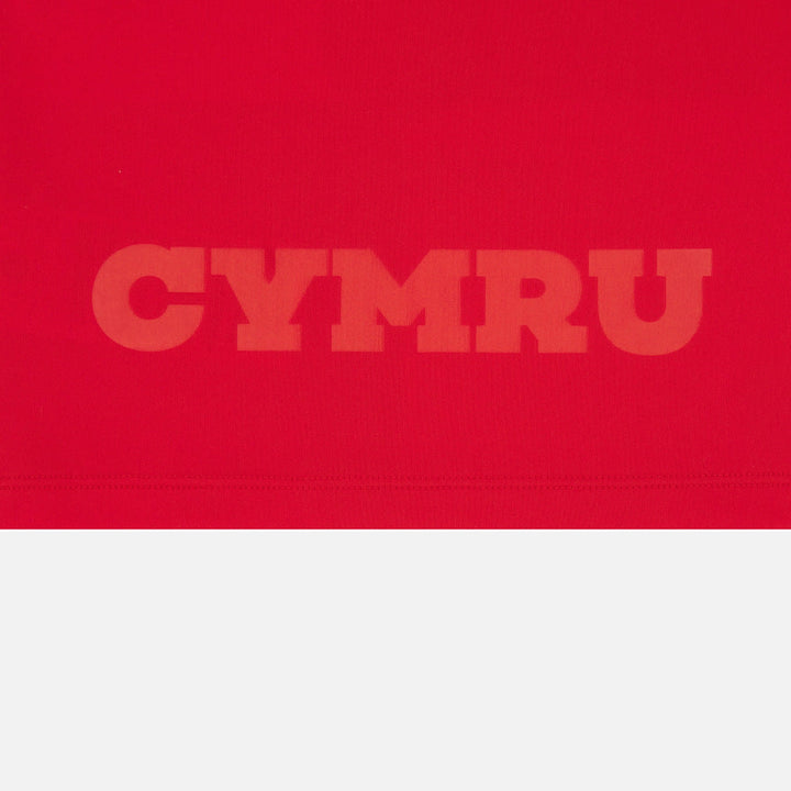 Maillot de rugby Macron Pays de Galles domicile 2025/26 pour bébé