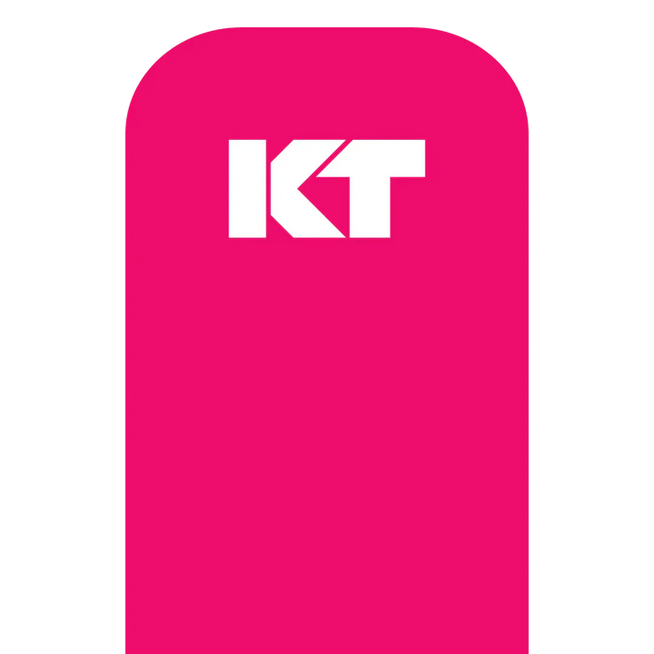 KT Tape Original Voorgesneden (5 x 25 cm) – 20 pièces – 5 mètres