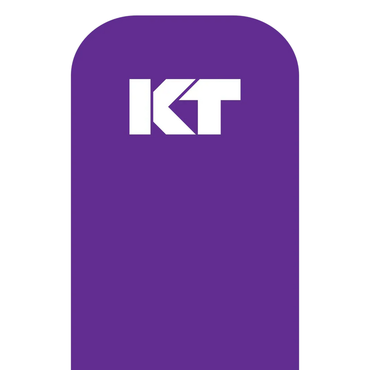 KT Tape Original Voorgesneden (5 x 25 cm) – 20 pièces – 5 mètres