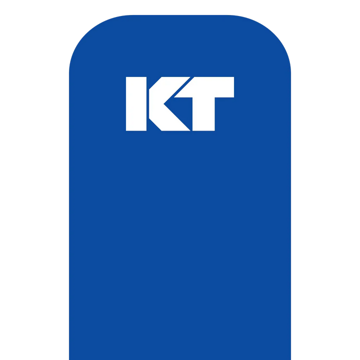 KT Tape Original Voorgesneden (5 x 25 cm) – 20 pièces – 5 mètres