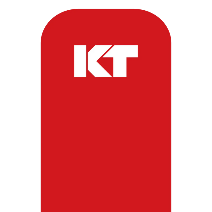 KT Tape Original Voorgesneden (5 x 25 cm) – 20 pièces – 5 mètres