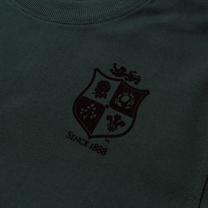 Canterbury British & Irish Lions Stealth Heavyweight Cotton T-Shirt Men